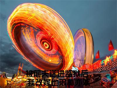 被前夫送进监狱后，我改嫁他弟林亦欢：结局+番外免费品鉴被前夫送进监狱后，我改嫁他弟林亦欢后续一口气无广告全书章节表