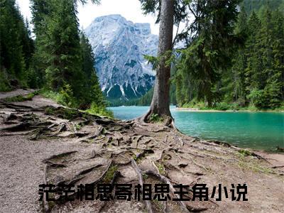 温时颂司景澈小说(茫茫相思寄相思)序章+全章阅读（温时颂司景澈）最新章节