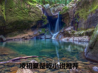 （卿心似海终不回）凌初夏楚屹全文免费阅读无弹窗大结局_凌初夏楚屹最新章节列表笔趣阁（卿心似海终不回）