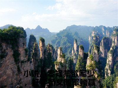 八零嫁禁欲军少，好孕娇女随军躺赢（姜婧雪）全文免费阅读无弹窗大结局-姜婧雪（八零嫁禁欲军少，好孕娇女随军躺赢）小说全文免费阅读最新章节列表