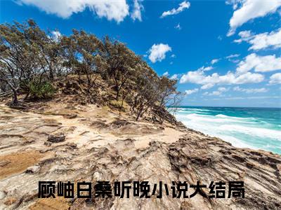 顾岫白桑听晚小说(顾岫白桑听晚)（错失的情深）前传+阅读全新作品预订