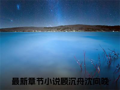 小说大结局小说顾沉舟沈向晚小说已更新+特别篇（沉舟向晚行）纯净版