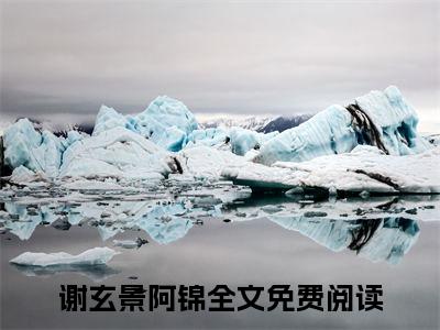 谢玄景阿锦(谢玄景阿锦)+前传（谢玄景阿锦）：结局+番外评价五颗星
