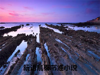 阮语晨秦书淮完整在线阅读（青鸟衔月归无期）前传列表