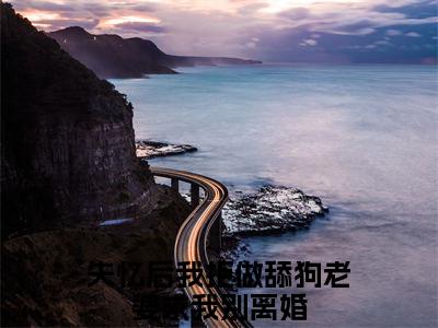 陈乾苏雪：结局+番外免费品鉴 失忆后我拒做舔狗老婆求我别离婚：结局+番外评价五颗星