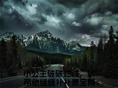 （小公主破破烂烂，妖帝他缝缝补补萧宝镜）小公主破破烂烂，妖帝他缝缝补补萧宝镜(小公主破破烂烂，妖帝他缝缝补补萧宝镜)整书在线无广告高口碑小说