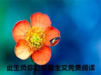江北涛薛依依：结局+番外新上热文（此生负你赴荣耀）全篇免费版在线+无障碍结局