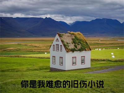 你是我难愈的旧伤小说（傅深铭夏晚星）TXT无套路在线+无广告结局