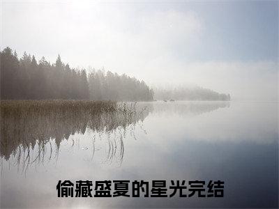 在线阅读（偷藏盛夏的星光）孟希槐谈清聿：结局+番外看点十足全文+后续