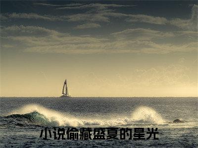 孟希槐谈清聿后续(偷藏盛夏的星光)（孟希槐谈清聿）整本畅享在线+无广告结局
