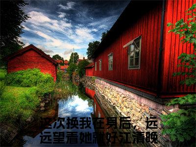 这次换我在身后，远远望着她就好江清晚（这次换我在身后，远远望着她就好江清晚）无广告免费阅读-小说这次换我在身后，远远望着她就好江清晚最后结局如何