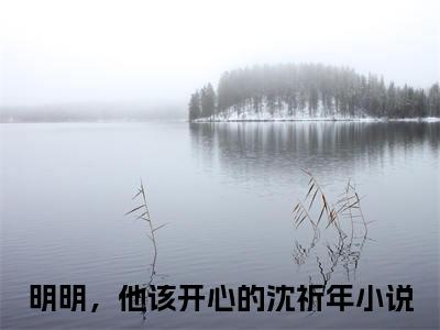 明明，他该开心的沈祈年全文（明明，他该开心的沈祈年）全文免费阅读无弹窗大结局_明明，他该开心的沈祈年免费最新章节列表_笔趣阁