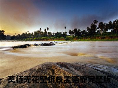 莫待无花空折枝孟语霏(莫待无花空折枝孟语霏)全文免费阅读无弹窗大结局_(莫待无花空折枝孟语霏)小说免费阅读最新章节列表