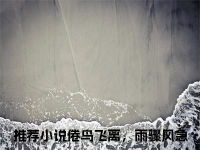 小说结尾小说倦鸟飞离，雨骤风急小说全章已更新+无删减（秦谒舟洛心棠）无弹窗