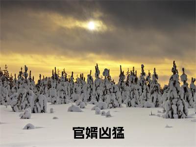 (番外)+(全文)赵阳秦雨柔结局+番外(官婿凶猛)全文免费阅读无弹窗大 结局_(赵阳秦雨柔结局+番外免费阅读全文大结局)最新章节列表_笔趣阁(赵阳秦雨柔结局+番外)
