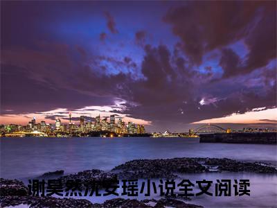 谢昊然沈安瑶小说章节目录+序章（星光下爱意璀璨）全书畅享在线