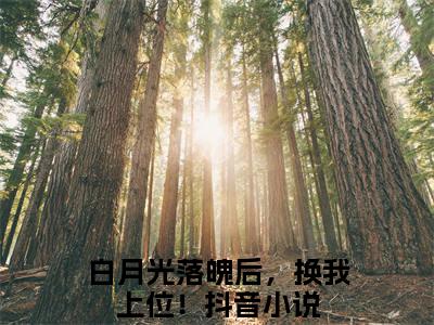 完结篇小说白月光落魄后，换我上位！小说(安意季长绝)已更新+无删减（白月光落魄后，换我上位！）无广告