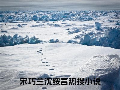 （我的新年愿望，便是离开这里）我的新年愿望，便是离开这里小说(宋巧兰沈绥言)小说全集速览无广告高口碑小说