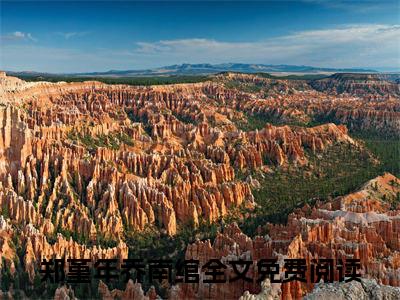 苗山断情:全文+番外（郑堇年乔南绾）TXT+后续+结局在线阅读