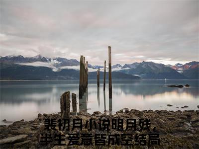 明月残，半生爱意皆成空（裴初月：结局+番外）全文免费阅读无弹窗大结局_(明月残，半生爱意皆成空)最新章节列表_笔趣阁（裴初月：结局+番外）