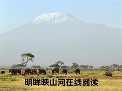 新章速递沈明月裴缜庭是什么小说(明眸映山河)完本阅读无广告（沈明月裴缜庭）