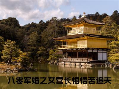 完结文宋芸熙江泽林最新章节列表_完结文宋芸熙江泽林全文免费阅读（八零军婚之女营长悔悟苦追夫）(番外)+(全文)