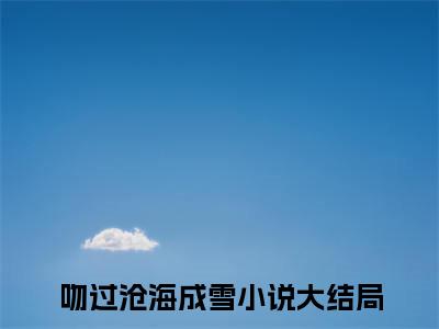完结文吻过沧海成雪傅知行沈书黎最新章节列表_完结文吻过沧海成雪全文免费阅读（傅知行沈书黎）