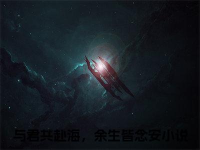 苏念安沈景舟:全文+番外（与君共赴海，余生皆念安）TXT+后续+结局在线阅读
