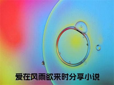 爱在风雨欲来时（温乔颖徐言澈）结局+番外免费品鉴_爱在风雨欲来时（爱在风雨欲来时）免费在线阅读+后续评价五颗星