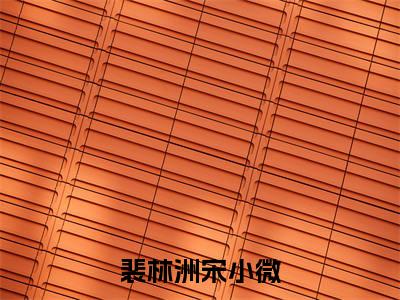 重回80我抛弃首长老公独自美丽（裴林洲宋小微）结局+番外新上热文_（裴林洲宋小微）重回80我抛弃首长老公独自美丽小说全文免费阅读最新章节列表笔趣阁