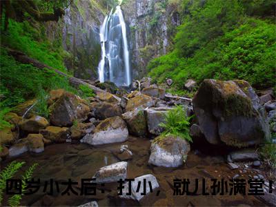 独家云姝慕辞无删减(四岁小太后：打小，就儿孙满堂！)（云姝慕辞）TXT免费版阅读