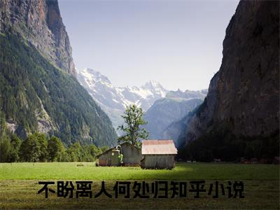 魏云汐贺淮序不盼离人何处归：结局+番外（不盼离人何处归）番外篇章章节列表