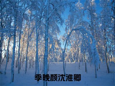 (季晚颜沈淮卿：结局+番外)书荒文好文分享(季晚颜沈淮卿)全文免费阅读无弹窗大结局_季晚颜沈淮卿：结局+番外最新章节列表_笔趣阁季晚颜沈淮卿