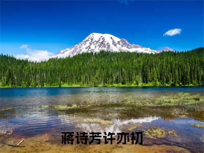 蒋诗芳许亦初小说(许亦初蒋诗芳)全文免费阅读无弹窗大结局_蒋诗芳许亦初完整版最新阅读_笔趣阁(许亦初蒋诗芳)