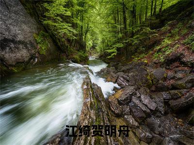 贺明舟江绮(江绮贺明舟)全文免费阅读无弹窗大结局_(贺明舟江绮全文免费阅读无弹窗)江绮贺明舟最新章节列表_笔趣阁(贺明舟江绮)