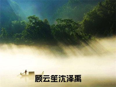沈泽禹顾云笙是哪部小说的主角,顾云笙沈泽禹全文在线赏析
