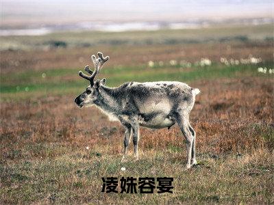 容宴凌姝(凌姝容宴)全文免费阅读无弹窗大结局_容宴凌姝说免费阅读最新章节列表_笔趣阁(凌姝容宴)