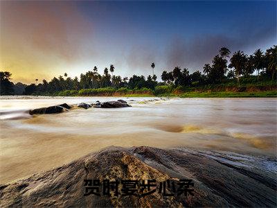 贺时宴步心柔全文免费阅读_(步心柔贺时宴免费阅读无弹窗)贺时宴步心柔最新章节列表笔趣阁