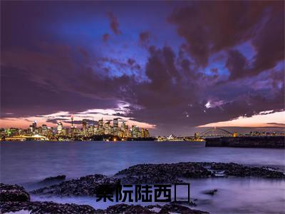 桑阮陆西琤(陆西琤桑阮)新上热文小说全文免费阅读-小说(陆西琤桑阮)完整版阅读