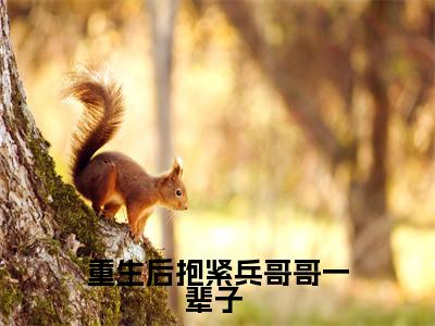 重生后抱紧兵哥哥一辈子 (秦逸江嫣)小说最新推荐-秦逸江嫣重生后抱紧兵哥哥一辈子 小说在线分享
