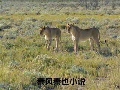修仙十万年（ 秦风秦也）全文免费阅读_修仙十万年最新章节小说免费阅读_笔趣阁