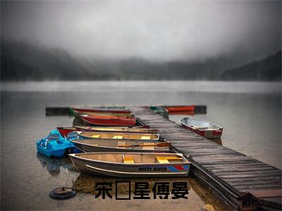 傅晏宋婠星（宋婠星傅晏）全文免费傅晏宋婠星读无弹窗大结局_(傅晏宋婠星：宋婠星傅晏）免费傅晏宋婠星读全文最新章节列表_笔趣阁（傅晏宋婠星）