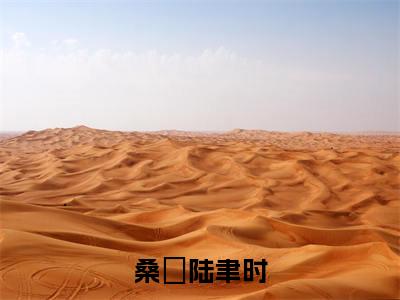 桑秞陆聿时(陆聿时桑秞)全文免费阅读无弹窗_(陆聿时桑秞的小说全文免费阅读)桑秞陆聿时小说最新章节列表无删减_笔趣阁