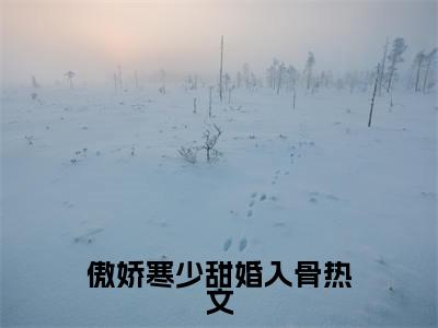  盛亦初纪南辰（傲娇寒少甜婚入骨全文免费阅读）无弹窗- 盛亦初纪南辰（傲娇寒少甜婚入骨）完整版在线赏析笔趣阁