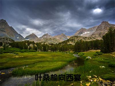叶桑榆向西宴全本资源免费阅读结局无删节主角：向西宴叶桑榆小说全文阅读无弹窗