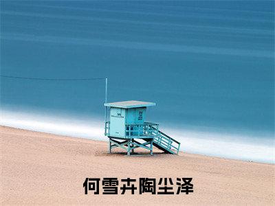 (陶尘泽何雪卉)全文免费阅读无弹窗大结局_何雪卉陶尘泽免费小说最新章节列表笔趣阁(陶尘泽何雪卉)