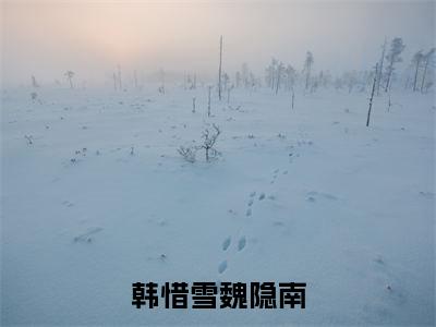 魏隐南韩惜雪是韩惜雪魏隐南的小说_主角是魏隐南韩惜雪免费阅读_魏隐南韩惜雪小说免费阅读-笔趣阁