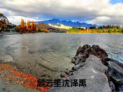 沈泽禹顾云笙全文免费(顾云笙沈泽禹)全集小说完整版大结局-沈泽禹顾云笙全文阅读无弹窗