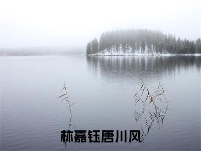 林嘉钰唐川风(林嘉钰唐川风小说)全文免费阅读无弹窗大结局_(林嘉钰唐川风小说)林嘉钰唐川风最新章节列表_笔趣阁(林嘉钰唐川风)
