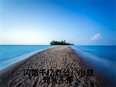 闪婚千亿老公,小叔宠我不停(傅时霆楚婳)全文免费阅读无弹窗大结局_傅时霆楚婳(闪婚千亿老公,小叔宠我不停最新章节在线阅读)_笔趣阁